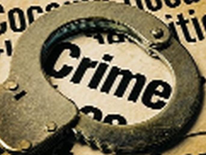 Grab meat from a luxury bus going to Mumbai | मुंबईकडे जाणाऱ्या लक्झरी बसमधून मांस हस्तगत