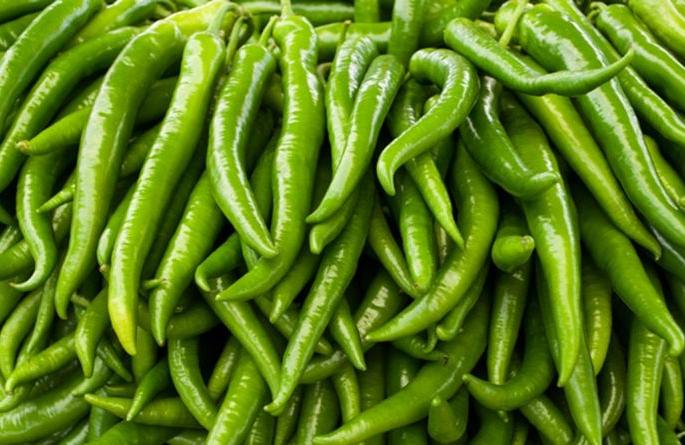 Doha-Sharjah awaits Bhivapuri Chili from Vidarbha | दोहा-शारजाहला विदर्भातील भिवापुरी मिरचीची प्रतीक्षा Doha-Sharjah awaits Bhivapuri Chili from Vidarbha | दोहा-शारजाहला विदर्भातील भिवापुरी मिरचीची प्रतीक्षा