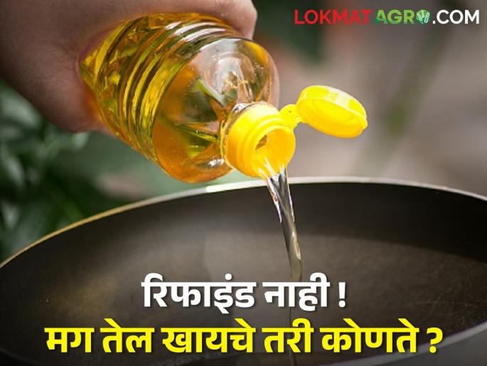 The chemicals in refined oil are harmful to health, so what is the alternative to our conventional oilseed oil! | रिफाइंड तेलातील रसायने आरोग्यास हानीकारक, मग आपल्या पारंपरिक तेलबीयांच्या तेलाचा पर्याय काय वाईट! The chemicals in refined oil are harmful to health, so what is the alternative to our conventional oilseed oil! | रिफाइंड तेलातील रसायने आरोग्यास हानीकारक, मग आपल्या पारंपरिक तेलबीयांच्या तेलाचा पर्याय काय वाईट!