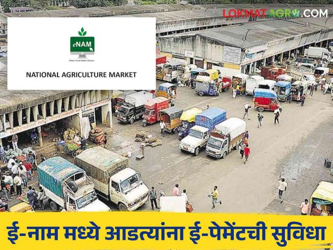 eNAM : Next step of Panan Mandal! E-payments can be made in 'E-NAM' for users | eNAM : पणन मंडळाचे पुढचे पाऊल! आडत्यांना 'ई-नाम'मध्ये करता येणार ई-पेमेंट eNAM : Next step of Panan Mandal! E-payments can be made in 'E-NAM' for users | eNAM : पणन मंडळाचे पुढचे पाऊल! आडत्यांना 'ई-नाम'मध्ये करता येणार ई-पेमेंट