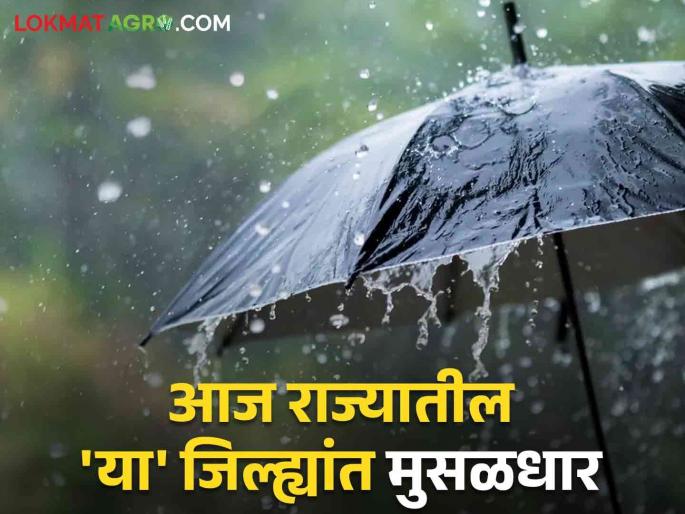 Maharashtra Rain : Heavy, heavy to light showers! Where will it rain in the state today? | Maharashtra Rain : मुसळधार, अतिजोरदार ते हलक्या सरी! राज्यात आज कुठे पडणार पाऊस? Maharashtra Rain : Heavy, heavy to light showers! Where will it rain in the state today? | Maharashtra Rain : मुसळधार, अतिजोरदार ते हलक्या सरी! राज्यात आज कुठे पडणार पाऊस?