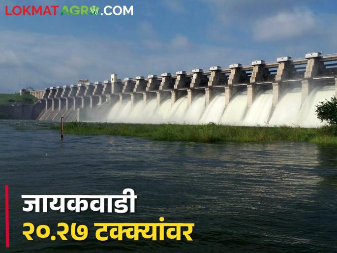 Jayakwadi at 20.27 percent in early April, the dam stock is depleting rapidly | एप्रिलच्या सुरुवातीला जायकवाडी २०.२७ टक्क्यांवर, धरणसाठा वेगाने घटतोय Jayakwadi at 20.27 percent in early April, the dam stock is depleting rapidly | एप्रिलच्या सुरुवातीला जायकवाडी २०.२७ टक्क्यांवर, धरणसाठा वेगाने घटतोय