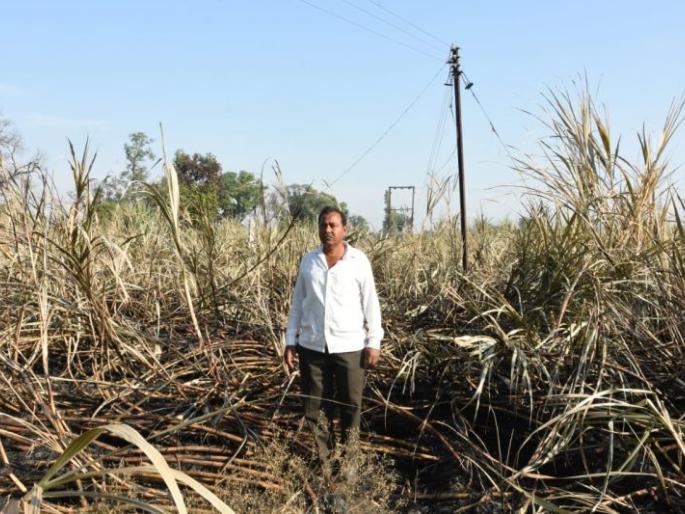 1 acre sugarcane fire in Tekwade Shivara | टेकवाडे शिवारात १ एकर ऊसाला आग 1 acre sugarcane fire in Tekwade Shivara | टेकवाडे शिवारात १ एकर ऊसाला आग