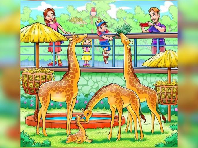 Optical Illusion : Find the monkey hidden inside the zoo in 7 second | Optical Illusion: केवळ 1 टक्के लोकच या फोटोतील माकड शोधू शकले, तुम्हीही ट्राय करा! Optical Illusion : Find the monkey hidden inside the zoo in 7 second | Optical Illusion: केवळ 1 टक्के लोकच या फोटोतील माकड शोधू शकले, तुम्हीही ट्राय करा!