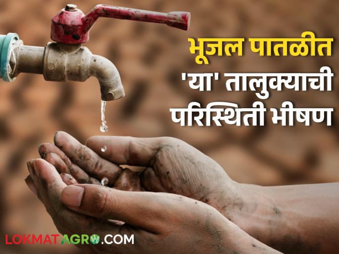 maharashtra drought ground Water level decreased situation dire groundwater report | दुष्काळात तेरावा! पाणीपातळी घटली, 'या' तालक्यात परिस्थिती भीषण; भूजल अहवाल काय सांगतो? maharashtra drought ground Water level decreased situation dire groundwater report | दुष्काळात तेरावा! पाणीपातळी घटली, 'या' तालक्यात परिस्थिती भीषण; भूजल अहवाल काय सांगतो?
