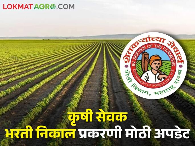 Big Update of Krushi Sevak Recruitment Result! Press release from Commissionerate of Agriculture | कृषी सेवक पदभरती निकालाची मोठी अपडेट! कृषी आयुक्तालयाकडून प्रसिद्धीपत्रक
