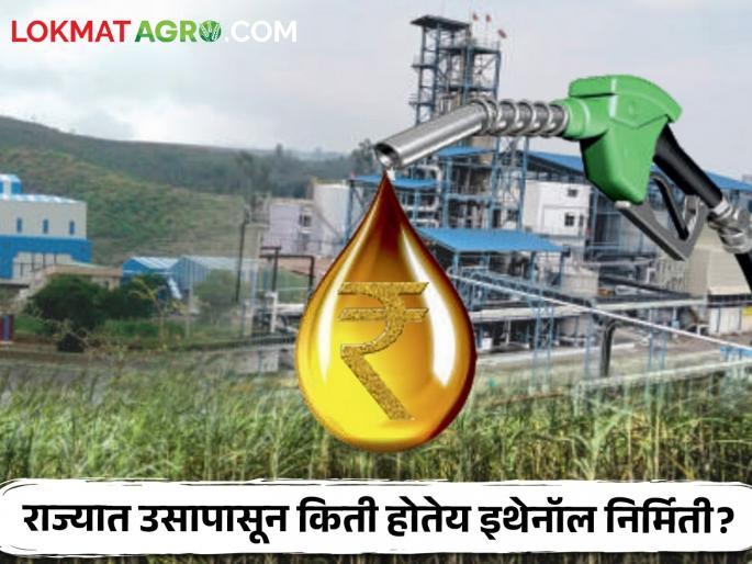 Ethanol Production: Ethanol production decreased! Variation of 20 crore liters in production from sugar mills | Ethanol Production : इथेनॉल उत्पादन घटले! साखर कारखान्यांकडून उत्पादनात २० कोटी लीटरची तफावत Ethanol Production: Ethanol production decreased! Variation of 20 crore liters in production from sugar mills | Ethanol Production : इथेनॉल उत्पादन घटले! साखर कारखान्यांकडून उत्पादनात २० कोटी लीटरची तफावत
