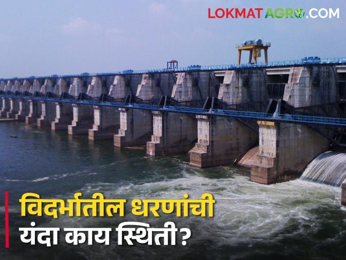 Dam storage: temperature of Nagpur is going above 45 degrees, what is the status of dam storage this year compared to last year? | Dam storage: नागपूरचा पारा जातोय ४५ अंशावर, गतवर्षीच्या तुलनेत यंदा धरणसाठ्याची काय स्थिती? Dam storage: temperature of Nagpur is going above 45 degrees, what is the status of dam storage this year compared to last year? | Dam storage: नागपूरचा पारा जातोय ४५ अंशावर, गतवर्षीच्या तुलनेत यंदा धरणसाठ्याची काय स्थिती?