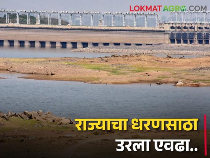 Dam Water Storage: Average 'so much' living water storage in the state, how much water is left in which section? | Dam Water Storage: राज्यात सरासरी 'इतका' जिवंत पाणीसाठा, कोणत्या विभागात किती पाणी शिल्लक? Dam Water Storage: Average 'so much' living water storage in the state, how much water is left in which section? | Dam Water Storage: राज्यात सरासरी 'इतका' जिवंत पाणीसाठा, कोणत्या विभागात किती पाणी शिल्लक?