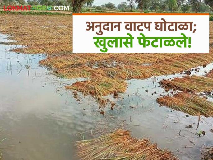 The round-the-clock revelations of Gram Sevak and Agricultural Assistants in the subsidy distribution scam were rejected. | अनुदान वाटपात ४० कोटींच्या घोटाळ्याप्रकरणी ग्रामसेवक, कृषी सहाय्यकांचे गोलमोल खुलासे फेटाळले The round-the-clock revelations of Gram Sevak and Agricultural Assistants in the subsidy distribution scam were rejected. | अनुदान वाटपात ४० कोटींच्या घोटाळ्याप्रकरणी ग्रामसेवक, कृषी सहाय्यकांचे गोलमोल खुलासे फेटाळले