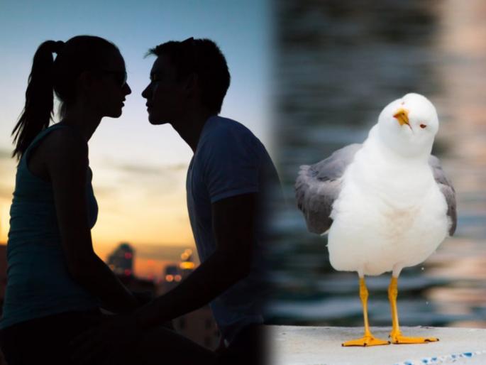 Woman kiss and bit off mans tongue during street fight in Scotland | बोंबला! जबरदस्ती किस करत महिलेने दाताने तोडली त्याची जीभ, ती पक्षी घेऊन गेला अन् खाऊन टाकली..... Woman kiss and bit off mans tongue during street fight in Scotland | बोंबला! जबरदस्ती किस करत महिलेने दाताने तोडली त्याची जीभ, ती पक्षी घेऊन गेला अन् खाऊन टाकली.....