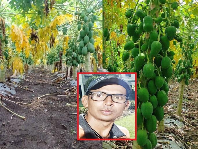 With zero tillage farming, soil runoff is now in the field, improving texture and yield | झिरो मशागत शेतीने उत्पन्नाच्या धनराशी; शेतीची पोत सुधारण्यासाठी यशस्वी प्रयत्न With zero tillage farming, soil runoff is now in the field, improving texture and yield | झिरो मशागत शेतीने उत्पन्नाच्या धनराशी; शेतीची पोत सुधारण्यासाठी यशस्वी प्रयत्न