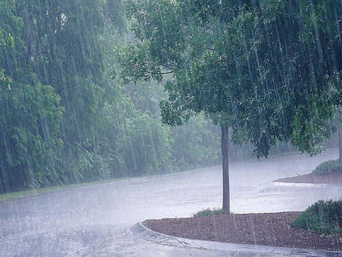 Warning of extremely heavy rain in Vidarbha within 24 hours, orange alert from the Meteorological Department | विदर्भात २४ तासात अतिजाेरदार पावसाचा इशारा, हवामान विभागाचा ऑरेंज अलर्ट Warning of extremely heavy rain in Vidarbha within 24 hours, orange alert from the Meteorological Department | विदर्भात २४ तासात अतिजाेरदार पावसाचा इशारा, हवामान विभागाचा ऑरेंज अलर्ट