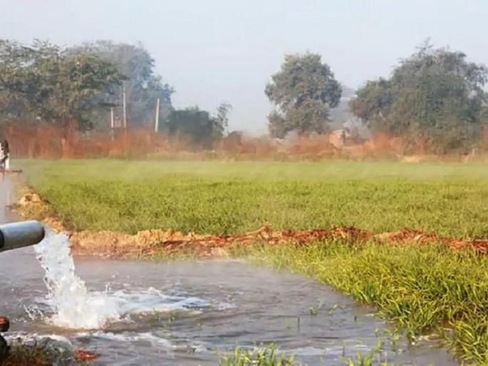 7,000 new agricultural connections given to farmers in Solapur district due to recovery | वसुली झाल्यामुळे सोलापूर जिल्ह्यात शेतकऱ्यांना दिल्या ७ हजार नव्या कृषी जोडण्या 7,000 new agricultural connections given to farmers in Solapur district due to recovery | वसुली झाल्यामुळे सोलापूर जिल्ह्यात शेतकऱ्यांना दिल्या ७ हजार नव्या कृषी जोडण्या