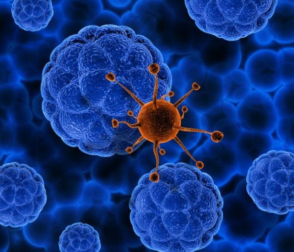 Nagpur has the lowest number of corona patients | कोरोना रुग्णांची नागपूर ग्रामीणमध्ये सर्वांत कमी नोंद Nagpur has the lowest number of corona patients | कोरोना रुग्णांची नागपूर ग्रामीणमध्ये सर्वांत कमी नोंद