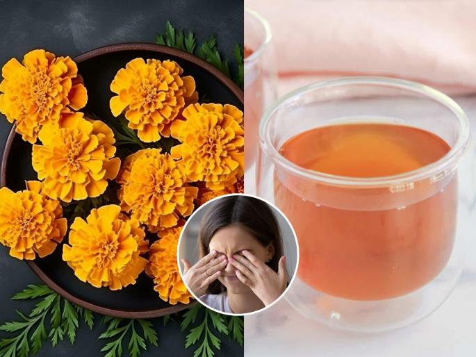 5 amazing benefits of having marigold tea, how to make marigold tea, health benefits of marigold tea | नजर धुसर झाली- स्क्रिन बघताना डोळे दुखतात? झेंडूचा काढा प्या- मिळतील ५ जबरदस्त फायदे 