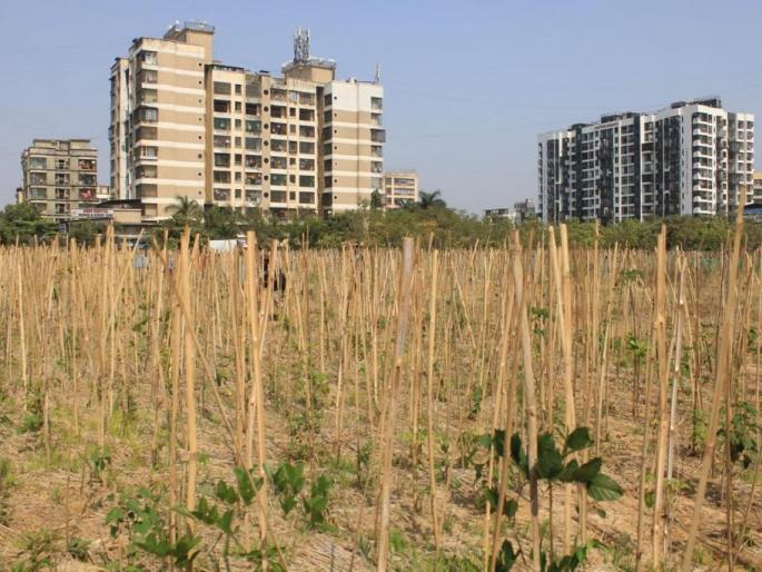 Wow, wow ... the publicity of spending bodies and public representatives and officials | वाह रे वा... खर्च संस्थांचा अन् प्रसिद्धी पालिकेतील लोकप्रतिनिधी व अधिकाऱ्यांची Wow, wow ... the publicity of spending bodies and public representatives and officials | वाह रे वा... खर्च संस्थांचा अन् प्रसिद्धी पालिकेतील लोकप्रतिनिधी व अधिकाऱ्यांची