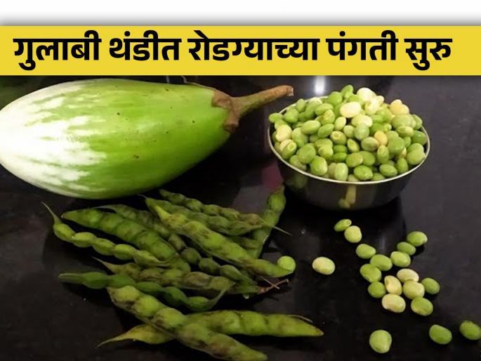 Housewives' dinners of vegetable tension are resolved, the steam of eggplant vegetables is roasted in the pink cold | जेवणासाठी भाजीचे टेन्शन मिटले! गुलाबी थंडीत सोले वांगीच्या भाजीची धूम