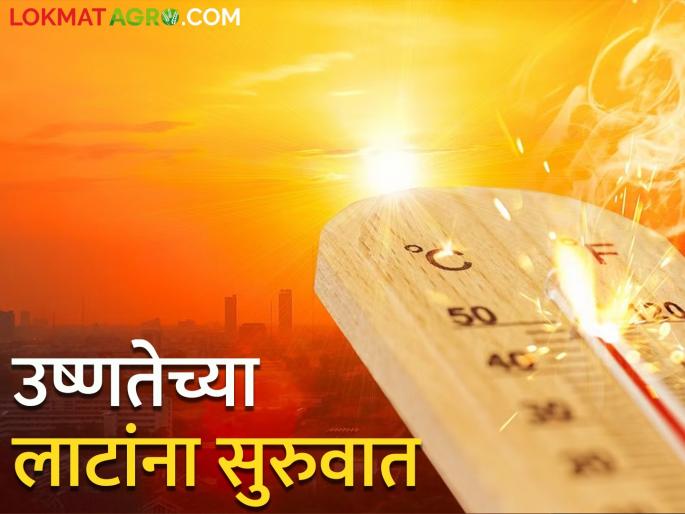 Start of heat waves, waves to hit the region in next five days; Meteorological Department said... | उष्णतेच्या लाटांना सुरुवात, पुढील पाच दिवसात या भागात येणार लाट; हवामान विभागानं सांगितलं...