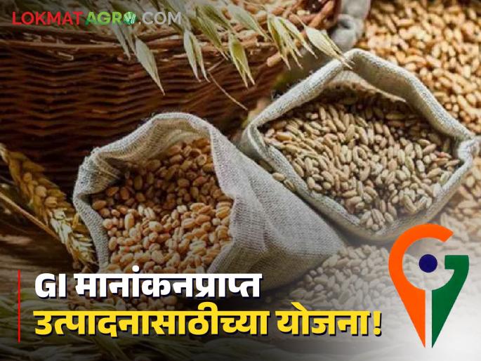 GI tag Product Scheme Is your agricultural product GI rated msamb scheme for agriculture product selling | GI tag Product Scheme : तुमच्या शेतमालाल जीआय मानांकन आहे? मग 'या' योजना तुमच्यासाठी