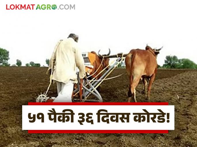 latest news Marathawada Rain Update : Thunderstorms in May, dry June-July; Low volume of rain in Marathwada Read in detail | Marathawada Rain Update : मे मध्ये धुमाकूळ, जून-जुलै कोरडे; मराठवाड्यात पावसाचा मोठा खंड वाचा सविस्तर latest news Marathawada Rain Update : Thunderstorms in May, dry June-July; Low volume of rain in Marathwada Read in detail | Marathawada Rain Update : मे मध्ये धुमाकूळ, जून-जुलै कोरडे; मराठवाड्यात पावसाचा मोठा खंड वाचा सविस्तर