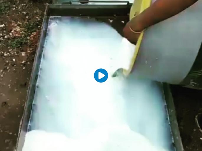 milk collected in temple for rituals morally served to feeding stay watch | भक्तांकडून मंदिरात अर्पण केलेल्या दूधाचा ‘असा’ केला सदुपयोग; व्हिडीओ पाहून तुम्हीही कराल कौतुक milk collected in temple for rituals morally served to feeding stay watch | भक्तांकडून मंदिरात अर्पण केलेल्या दूधाचा ‘असा’ केला सदुपयोग; व्हिडीओ पाहून तुम्हीही कराल कौतुक