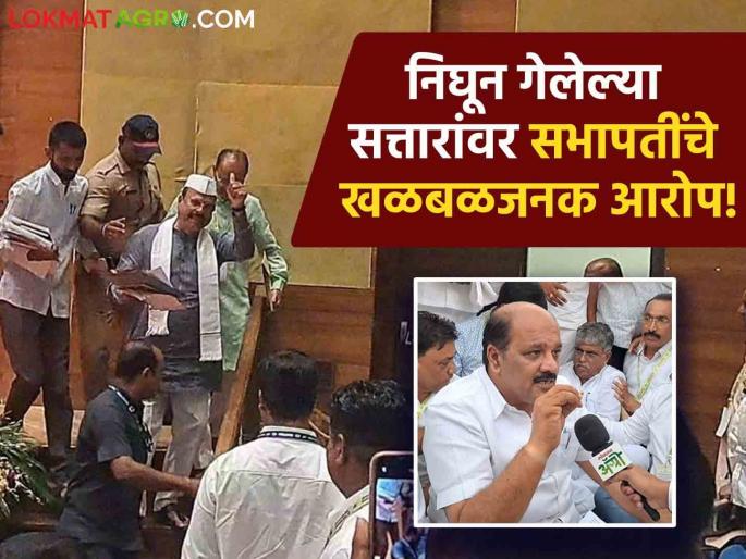 market committee sabhapati made sensational accusations against the sattars who left the meeting Watch the video | Video : भर सभेतून निघून गेलेल्या सत्तारांवर सभापतींनी केले खळबळजनक आरोप! पणन संचालक, आर्थिक व्यवहार अन्... market committee sabhapati made sensational accusations against the sattars who left the meeting Watch the video | Video : भर सभेतून निघून गेलेल्या सत्तारांवर सभापतींनी केले खळबळजनक आरोप! पणन संचालक, आर्थिक व्यवहार अन्...