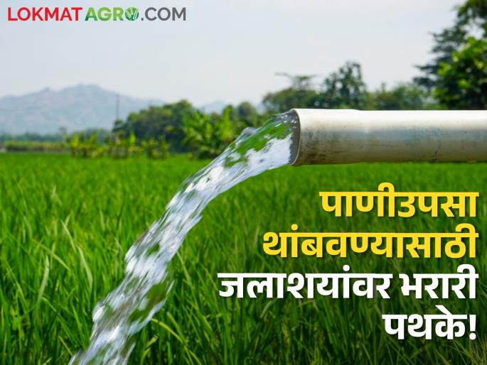 Bharari teams deployed at reservoirs to prevent illegal pumping due to water scarcity | पाणीटंचाईमुळे अवैध उपसा रोखण्यासाठी जलाशयांवर भरारी पथके तैनात Bharari teams deployed at reservoirs to prevent illegal pumping due to water scarcity | पाणीटंचाईमुळे अवैध उपसा रोखण्यासाठी जलाशयांवर भरारी पथके तैनात