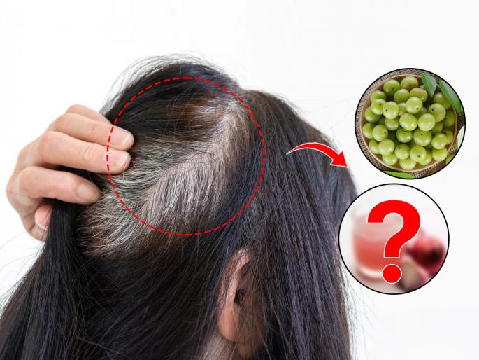 5 home remedies to deal with pre mature grey hair : Are you ashamed of having gray hair at a young age? 5 simple solutions, hair will stay dark forever... | ऐन तारुण्यात केस पांढरे झाल्याने चारचौघात लाज वाटते? ५ सोपे उपाय, केस राहतील कायम काळेभोर...