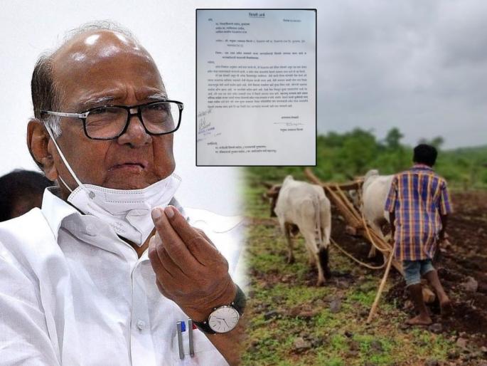 Provide seeds for cultivation of herbal plants in 1 acre; Farmer letter to the Collector | १ एकरात हर्बल वनस्पती लागवडीसाठी बियाणे उपलब्ध करुन द्यावे; शेतकऱ्याचं जिल्हाधिकाऱ्यांना पत्र Provide seeds for cultivation of herbal plants in 1 acre; Farmer letter to the Collector | १ एकरात हर्बल वनस्पती लागवडीसाठी बियाणे उपलब्ध करुन द्यावे; शेतकऱ्याचं जिल्हाधिकाऱ्यांना पत्र