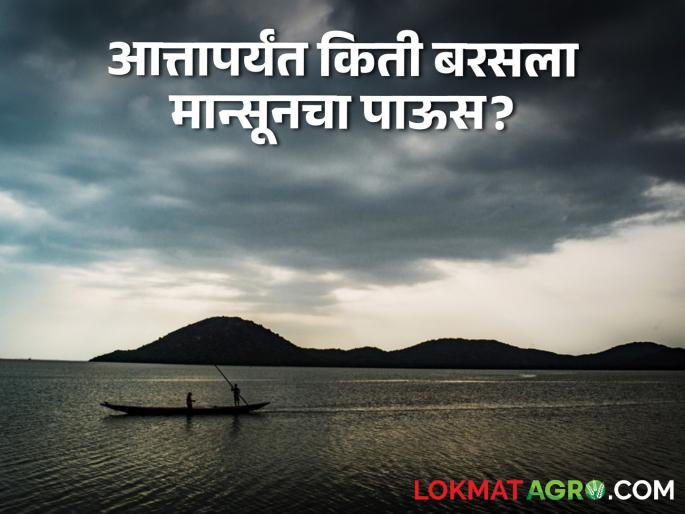 Monsoon Rain How much monsoon rain has rained in the state tll now | Monsoon Rain : राज्यात आत्तापर्यंत किती बरसला मान्सूनचा पाऊस? पाहा सविस्तर आकडेवारी Monsoon Rain How much monsoon rain has rained in the state tll now | Monsoon Rain : राज्यात आत्तापर्यंत किती बरसला मान्सूनचा पाऊस? पाहा सविस्तर आकडेवारी