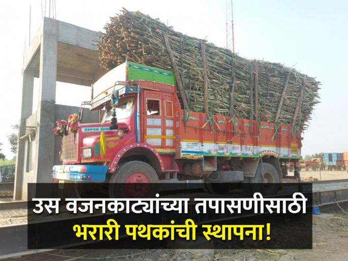 Bharari pathak for for inspection of sugarcane weighing fraud instruction of sugar commissioner | उस वजनकाट्यांच्या तपासणीसाठी भरारी पथकांची स्थापना! साखर आयुक्तांच्या सूचना Bharari pathak for for inspection of sugarcane weighing fraud instruction of sugar commissioner | उस वजनकाट्यांच्या तपासणीसाठी भरारी पथकांची स्थापना! साखर आयुक्तांच्या सूचना