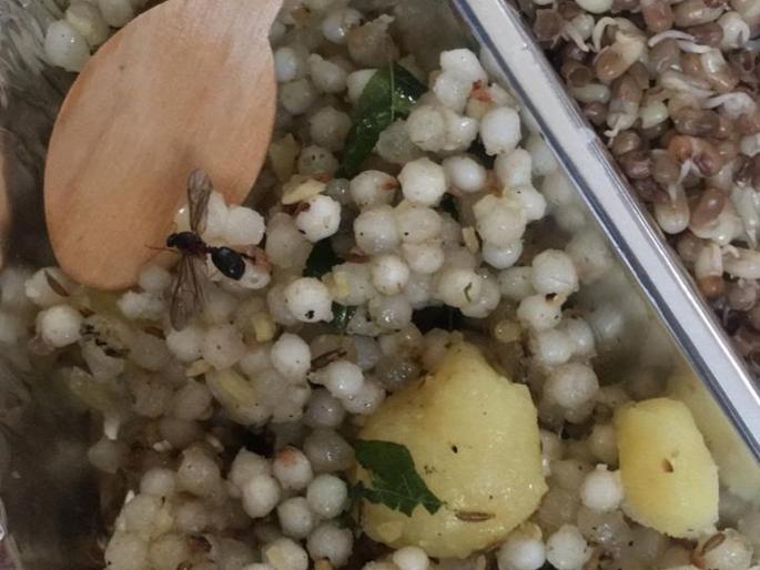 Negligence once again at Dental Covid Hospital; insects found at the breakfast of patients and staff | Thane: डेंटल कोविड रूग्णालयात पुन्हा एकदा हलगर्जीपणा; रुग्ण आणि कर्मचाऱ्यांच्या सकाळच्या न्याहारीत आढळले पाखरू 