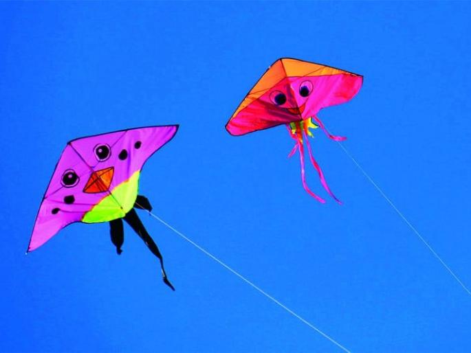 Chinese thread of kite in Chandrapur district increase the risk of accidents | चंद्रपूर  जिल्ह्यामध्ये चायनीज मांजामुळे वाढला अपघाताचा धोका Chinese thread of kite in Chandrapur district increase the risk of accidents | चंद्रपूर  जिल्ह्यामध्ये चायनीज मांजामुळे वाढला अपघाताचा धोका