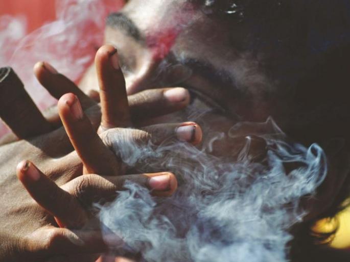 Cannabis coming from the south in Wardha; 11 arrested | दक्षिणेतून येतोय वर्ध्यात गांजा; झुरके ओढणारे ११ अटकेत Cannabis coming from the south in Wardha; 11 arrested | दक्षिणेतून येतोय वर्ध्यात गांजा; झुरके ओढणारे ११ अटकेत