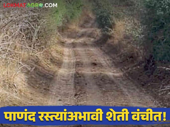 There is no connection to the farm for 6 months without a water road! Huge loss to farmers | पाणंद रस्त्याविना शेताचा ६ महिने संपर्कच नाही! शेतकऱ्यांचे प्रचंड नुकसान There is no connection to the farm for 6 months without a water road! Huge loss to farmers | पाणंद रस्त्याविना शेताचा ६ महिने संपर्कच नाही! शेतकऱ्यांचे प्रचंड नुकसान