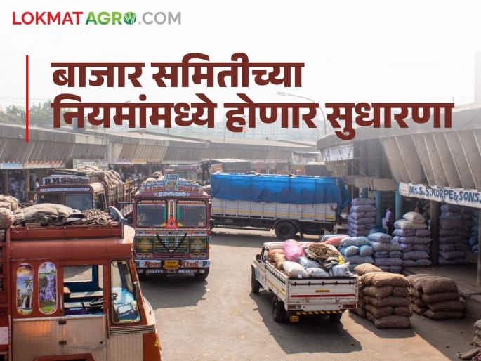 Market Yard: Agricultural Produce Market Committee rules will be amended; Information from the Marketing Minister | Market Yard : कृषी उत्पन्न बाजार समितीच्या नियमांमध्ये सुधारणा करणार; पणनमंत्र्यांची माहिती Market Yard: Agricultural Produce Market Committee rules will be amended; Information from the Marketing Minister | Market Yard : कृषी उत्पन्न बाजार समितीच्या नियमांमध्ये सुधारणा करणार; पणनमंत्र्यांची माहिती