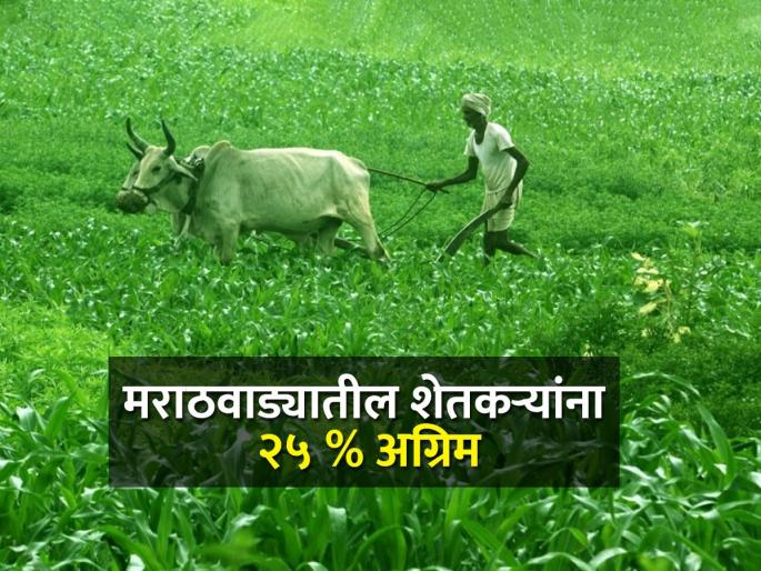 Marathwada farmers will get 25 percent advance | पीक विम्याचा मार्ग मोकळा, मराठवाड्यातील शेतकऱ्यांना मिळणार २५% अग्रिम Marathwada farmers will get 25 percent advance | पीक विम्याचा मार्ग मोकळा, मराठवाड्यातील शेतकऱ्यांना मिळणार २५% अग्रिम