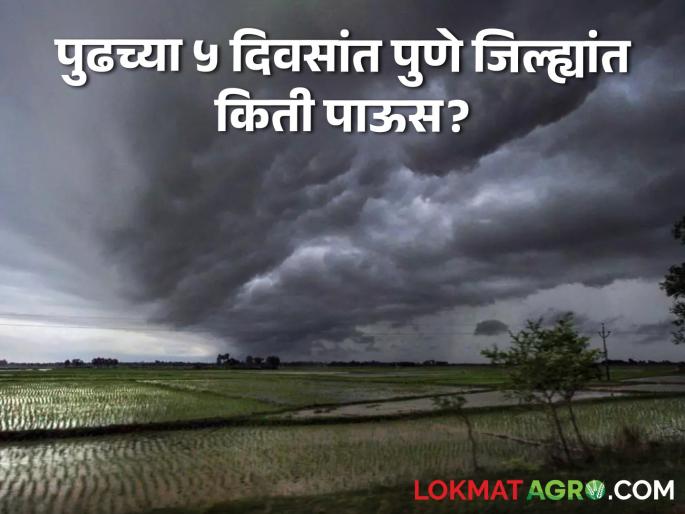 Pune Rain: How much rain will fall in Pune in the next 5 days? What should farmers be careful about? | Pune Rain : पुण्यात पुढच्या ५ दिवसांत किती पडणार पाऊस? शेतकऱ्यांनी काय काळजी घ्यावी?