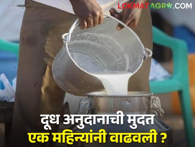 Milk subsidy extended by one month Announcement Animal Husbandry Minister | दूध अनुदानाची मुदत एक महिन्यांनी वाढवल्याची पशुसंवर्धन मंत्र्यांची घोषणा! पण शासननिर्णय नाही