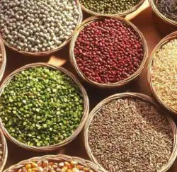 28 lakh profit for the first time since the establishment of Chopda Bazar Samiti | चोपडा बाजार समितीच्या स्थापनेपासून प्रथमच २८ लाखांचा नफा 28 lakh profit for the first time since the establishment of Chopda Bazar Samiti | चोपडा बाजार समितीच्या स्थापनेपासून प्रथमच २८ लाखांचा नफा