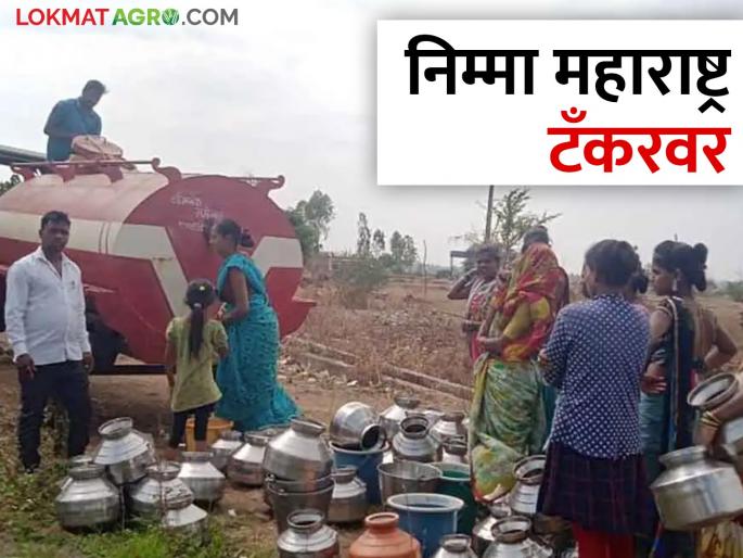 Water supply through 1,858 tankers across the state, with Marathwada in the lead | राज्यभरात १,८५८ टँकरव्दारे पाणीपुरवठा, मराठवाडा आघाडीवर Water supply through 1,858 tankers across the state, with Marathwada in the lead | राज्यभरात १,८५८ टँकरव्दारे पाणीपुरवठा, मराठवाडा आघाडीवर