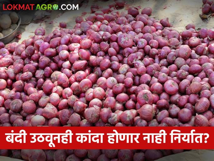 Even if the export ban is lifted, the onion of the farmers will not be exported? | निर्यातबंदी उठवली तरी शेतकऱ्यांचा कांदा होणार नाही निर्यात? Even if the export ban is lifted, the onion of the farmers will not be exported? | निर्यातबंदी उठवली तरी शेतकऱ्यांचा कांदा होणार नाही निर्यात?