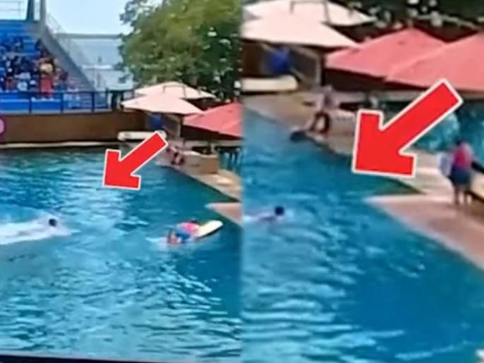 Dolphin attack video : Angry dolphin attacks the trainer Miami seaquarium | Dolphin Attack Video: संतापलेल्या डॉल्फीनने ट्रेनरवर केला हल्ला, बघा थरारक व्हिडीओ Dolphin attack video : Angry dolphin attacks the trainer Miami seaquarium | Dolphin Attack Video: संतापलेल्या डॉल्फीनने ट्रेनरवर केला हल्ला, बघा थरारक व्हिडीओ