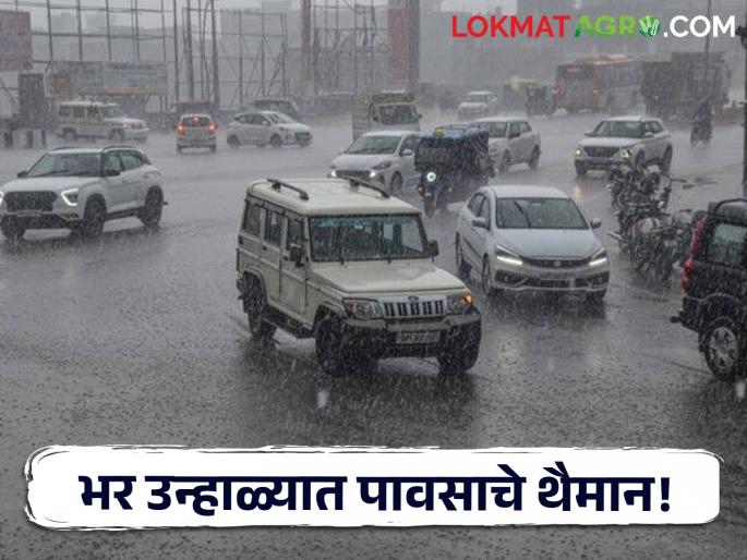Stormy winds and lightning in various places of the state. | राज्यातील विविध ठिकाणी वादळी वारे अन् विजांच्या कडकडाटासह पावसाचे थैमान! Stormy winds and lightning in various places of the state. | राज्यातील विविध ठिकाणी वादळी वारे अन् विजांच्या कडकडाटासह पावसाचे थैमान!