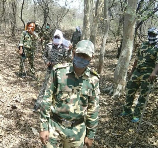 Forest department warriors are also on the ground; Social commitment is maintained along with forest protection | वनविभागाचे योद्धेही मैदानात; वनरक्षणासोबत जपली जातेय सामाजिक बांधिलकी Forest department warriors are also on the ground; Social commitment is maintained along with forest protection | वनविभागाचे योद्धेही मैदानात; वनरक्षणासोबत जपली जातेय सामाजिक बांधिलकी