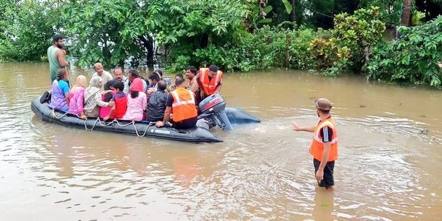 380 animals swept away in floods; 15,000 hens go missing | Solapur Flood; महापुरात वाहून गेली ३८० जनावरे; १५ हजार कोंबड्या बेपत्ता 380 animals swept away in floods; 15,000 hens go missing | Solapur Flood; महापुरात वाहून गेली ३८० जनावरे; १५ हजार कोंबड्या बेपत्ता