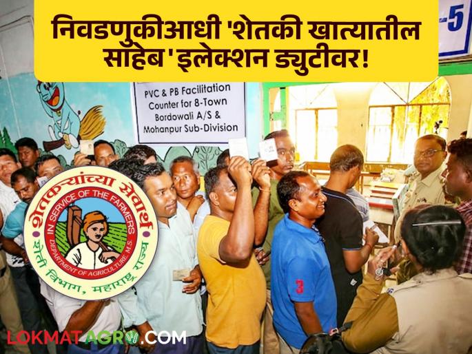Even before the announcement of the elections, the 'Saheb from the Agriculture Department' is on election duty! Who will manage the state? | निवडणुका जाहीर होण्याआधीच 'शेतकी खात्यातील साहेब' इलेक्शन ड्युटीवर! राज्याचा कारभार कोण पाहणार? Even before the announcement of the elections, the 'Saheb from the Agriculture Department' is on election duty! Who will manage the state? | निवडणुका जाहीर होण्याआधीच 'शेतकी खात्यातील साहेब' इलेक्शन ड्युटीवर! राज्याचा कारभार कोण पाहणार?