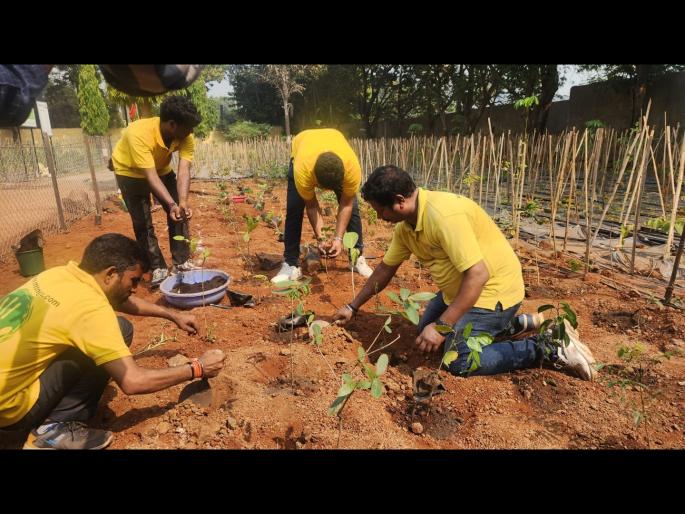 Plantation of 5000 trees by Mianwaki method in the park in Bhiwandi | भिवंडीतील उद्यानात मियांवाकी पद्धतीने पाच हजार वृक्षांची लागवड 