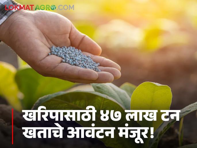 Fertilizers:Kharif preparations begin! Center approves allocation of 47 lakh tonnes of fertilizer for the state | Fertilizers : खरिपाची तयारी सुरू! राज्यासाठी ४७ लाख टन खताचे आवंटन केंद्राकडून मंजूर Fertilizers:Kharif preparations begin! Center approves allocation of 47 lakh tonnes of fertilizer for the state | Fertilizers : खरिपाची तयारी सुरू! राज्यासाठी ४७ लाख टन खताचे आवंटन केंद्राकडून मंजूर